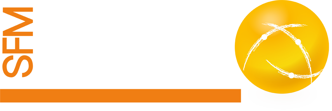 Logo LUDI SFM